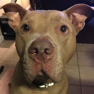 Meet your Posher, Cheri